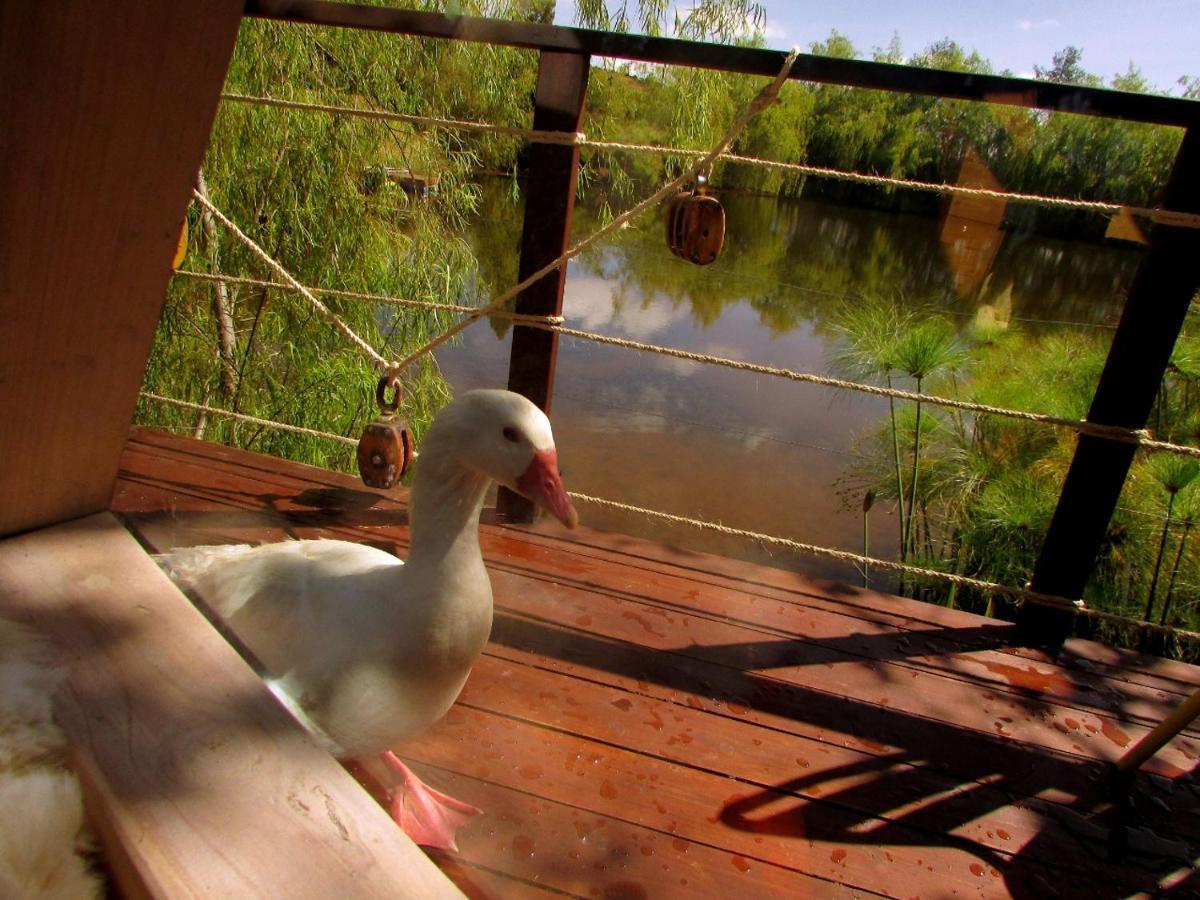 Glamping Cantabria Τούνχα Εξωτερικό φωτογραφία