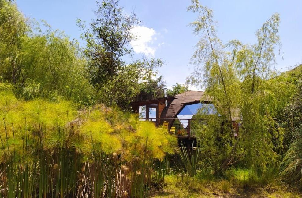 Glamping Cantabria Τούνχα Εξωτερικό φωτογραφία